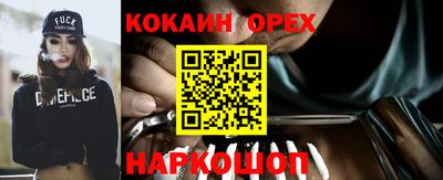 гашик Кулебаки