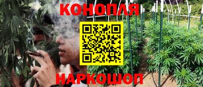 гашик Кулебаки