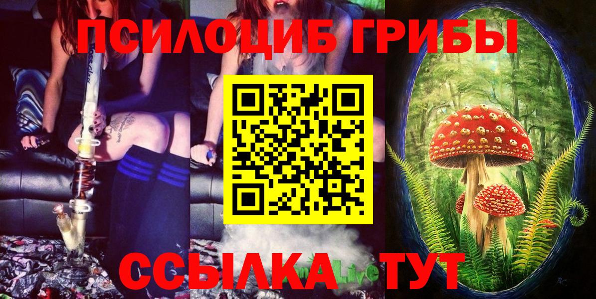 Псилоцибиновые грибы Psilocybine cubensis Волжск
